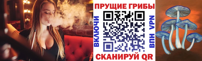 даркнет сайт  darknet какой сайт  Галлюциногенные грибы Cubensis  Омутнинск 